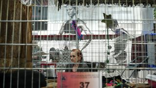 Međunarodna izložba mačaka