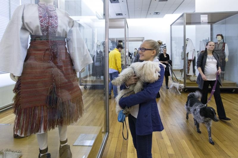 Kulturne šapice Kulturne šapice