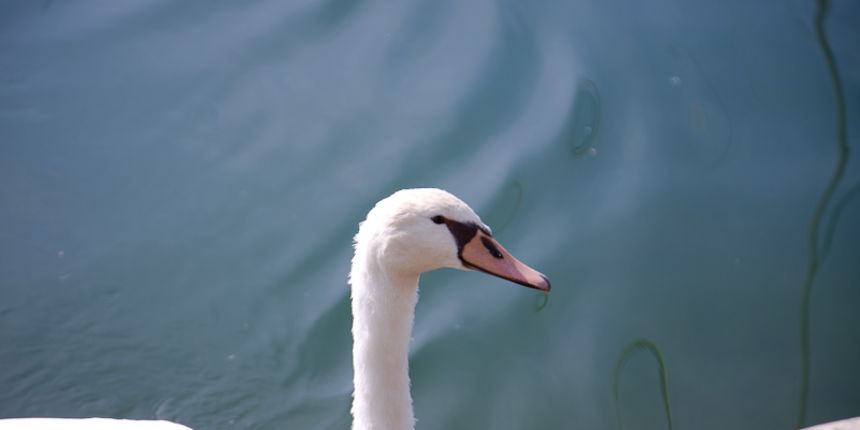 Izlet u NP Krka: Skradin, Skradinski buk, Visovac, foto: Darko Belančić