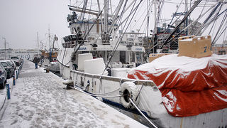 Snijeg u Zadru, 17. prosinca 2009, Foto: Saša Čuka