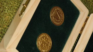 Crna ovca u Baški na otoku Krku Crna ovca u Baški na otoku Krku