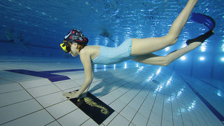 SC Višnjik: Podvodna izložba ronilačkog kluba “Roko” SC Višnjik: Podvodna izložba ronilačkog kluba “Roko”