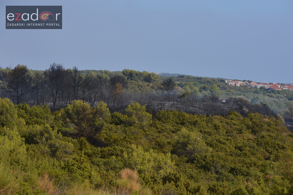 Zračne i kopnene vatrogasne snage u rekordnom roku lokalizirale požar između Dikla i Kožina