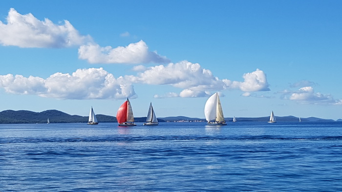 Zadarska Koka 2016. 22. listopada 2016. Foto: Mladen Malik Zadarska Koka 2016. 22. listopada 2016. Foto: Mladen Malik