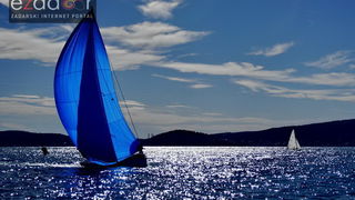 Zadarska koka 2017. Zadarska koka 2017.