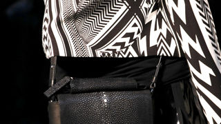 Torbice za proljeće 2010.