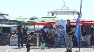 Ekološka akcija čišćenja podmorja u D-Marin Dalmacija