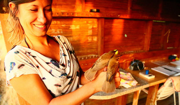 Prstenovački kamp: u tijeku praćenje jesenske migracije ptica u Vranskom jezeru