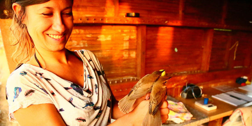 Prstenovački kamp: u tijeku praćenje jesenske migracije ptica u Vranskom jezeru Prstenovački kamp: u tijeku praćenje jesenske migracije ptica u Vranskom jezeru