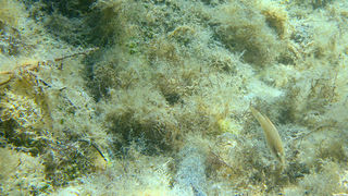 OLYMPUS DIGITAL CAMERA OLYMPUS DIGITAL CAMERA