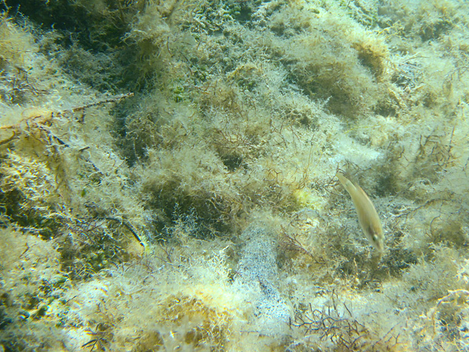 OLYMPUS DIGITAL CAMERA OLYMPUS DIGITAL CAMERA