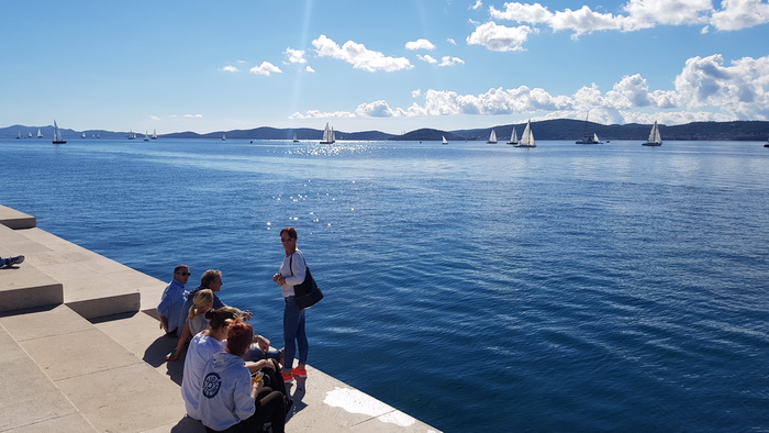 Zadarska Koka 2016. 22. listopada 2016. Foto: Mladen Malik Zadarska Koka 2016. 22. listopada 2016. Foto: Mladen Malik