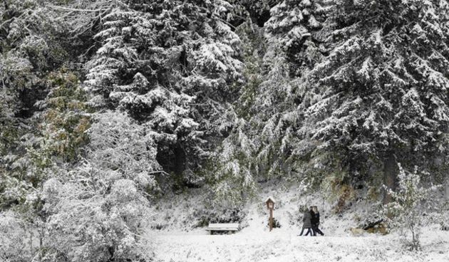 Snijeg (foto: daylife.com)