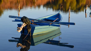 Jutro u Ninu, 12. prosinca, foto: Marin Pitton