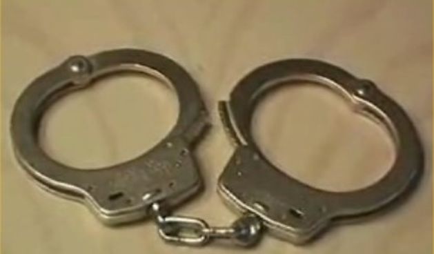 Lisice (Foto: maniacworld.com)