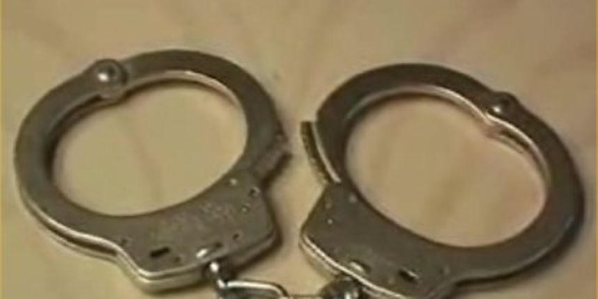 Lisice (Foto: maniacworld.com) Lisice (Foto: maniacworld.com)