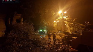 Jak vjetar srušio stablo na parkirane automobile kod OŠ Petar Preradović na Poluotoku