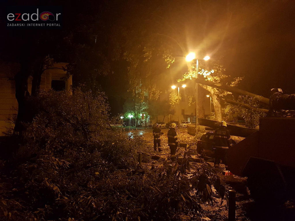 Jak vjetar srušio stablo na parkirane automobile kod OŠ Petar Preradović na Poluotoku