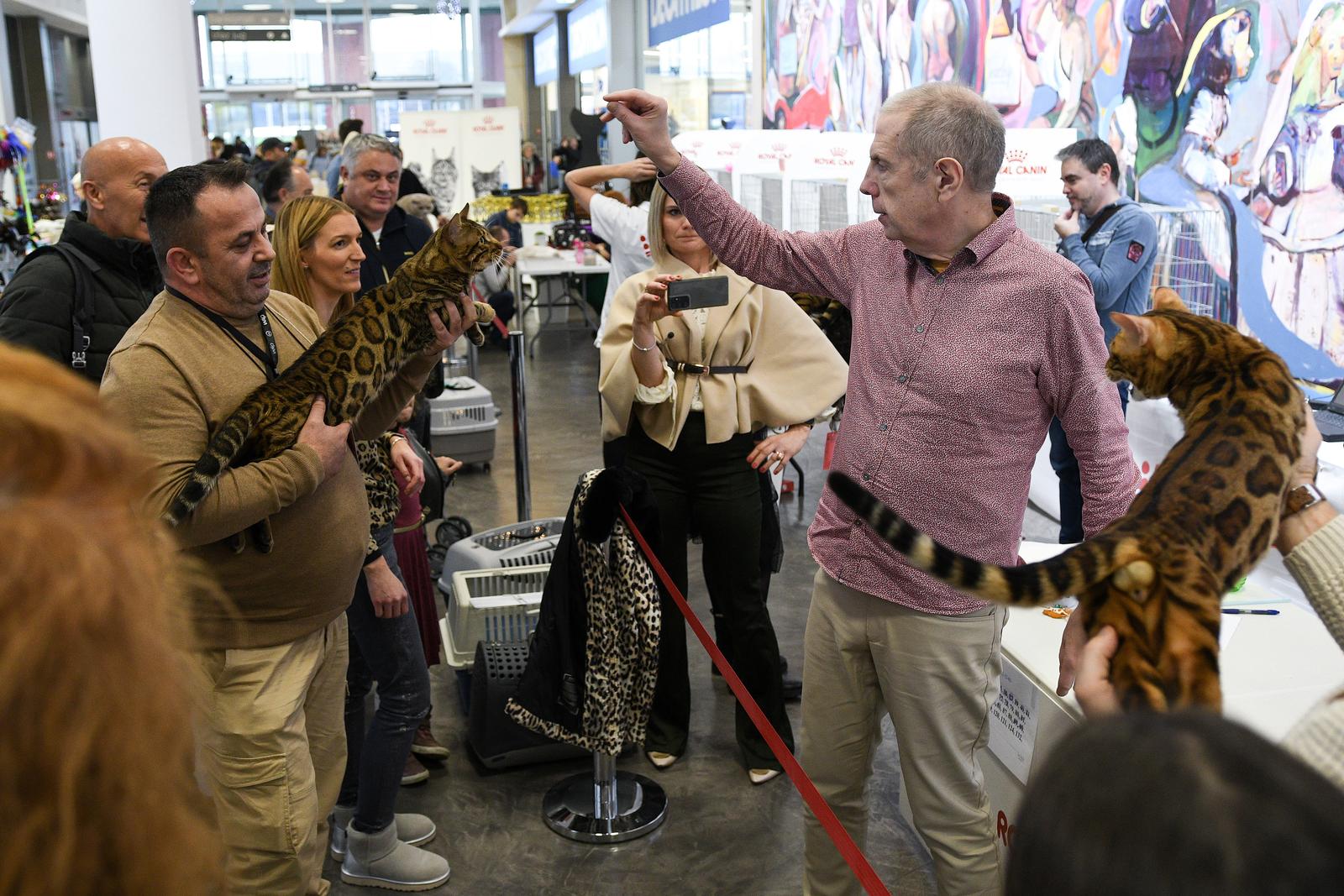 Međunarodna izložba mačaka