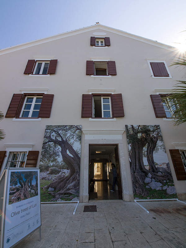 Biograd na moru: Otvorena izložba fotografija “Lunjske masline” Biograd na moru: Otvorena izložba fotografija “Lunjske masline”