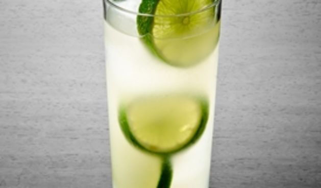Gin Rickey, foto: she.hr