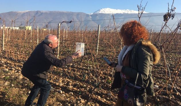 ZADRA NOVA u Mostaru