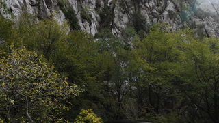 Zadar, 091111.
U Zadru je danas zapocelo predstavljanje novog Chevroletovog automobila Camaro. Novi model Chevroleta privukao je veliki broj novinara iz inozemstva koji ce ovih dana vrsiti testiranje Camara.
Foto: Jure Miskovic / CROPIX Zadar, 091111.
U Zadru je danas zapocelo predstavljanje novog Chevroletovog automobila Camaro. Novi model Chevroleta privukao je veliki broj novinara iz inozemstva koji ce ovih dana vrsiti testiranje Camara.
Foto: Jure Miskovic / CROPIX