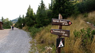 Nedjelja na Zavizanu