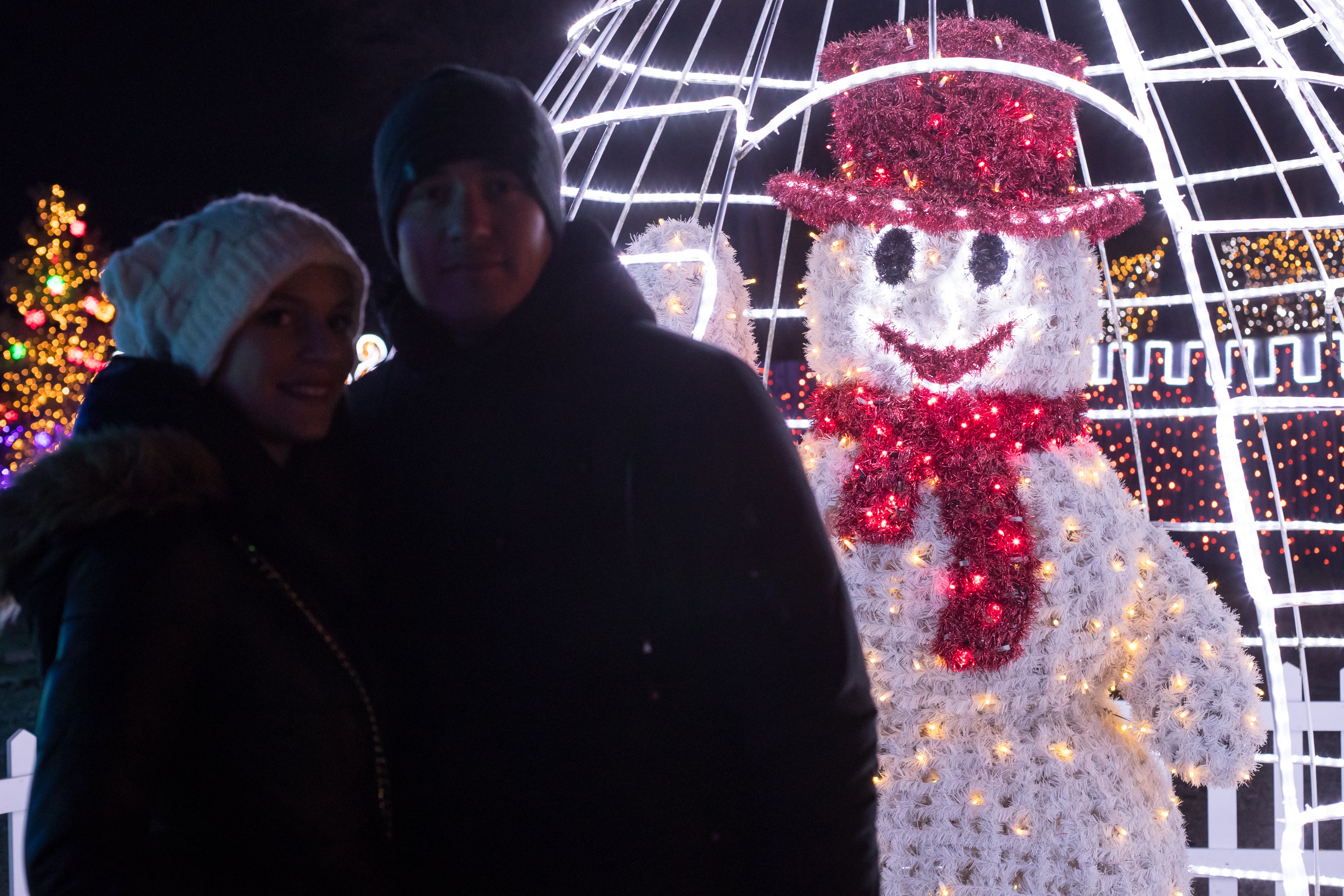 Još raskošnije izdanje: pogledajte kako izgleda Božićna priča obitelji Salaj gdje je ove godine zasjalo rekordnih 2.5 milijuna lampica