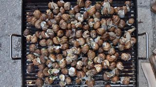 U sklopu Benkovackog kulturnog ljeta Grad Benkovac i Turisticka zajednica Grada Benkovca vec cetvrtu godinu za redom organiziraju manifestaciju Puzevim korakom. Radi se o gastro manifestaciji pripreme i degustacije puzeva. Posjetitelji su imali prilike d U sklopu Benkovackog kulturnog ljeta Grad Benkovac i Turisticka zajednica Grada Benkovca vec cetvrtu godinu za redom organiziraju manifestaciju Puzevim korakom. Radi se o gastro manifestaciji pripreme i degustacije puzeva. Posjetitelji su imali prilike d