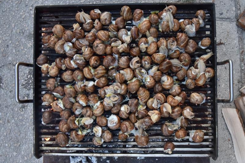 U sklopu Benkovackog kulturnog ljeta Grad Benkovac i Turisticka zajednica Grada Benkovca vec cetvrtu godinu za redom organiziraju manifestaciju Puzevim korakom. Radi se o gastro manifestaciji pripreme i degustacije puzeva. Posjetitelji su imali prilike d U sklopu Benkovackog kulturnog ljeta Grad Benkovac i Turisticka zajednica Grada Benkovca vec cetvrtu godinu za redom organiziraju manifestaciju Puzevim korakom. Radi se o gastro manifestaciji pripreme i degustacije puzeva. Posjetitelji su imali prilike d