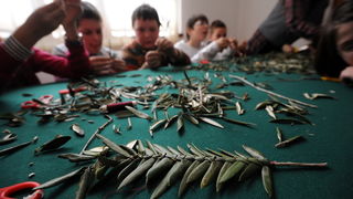 Zadar, 190313.
U prostoru gradske straze organizirana je radionica izrade maslinovih grancica za osnovnoskolce.
Na fotografiji: detalj s radionice.
Foto: Luka Gerlanc / CROPIX Zadar, 190313.
U prostoru gradske straze organizirana je radionica izrade maslinovih grancica za osnovnoskolce.
Na fotografiji: detalj s radionice.
Foto: Luka Gerlanc / CROPIX