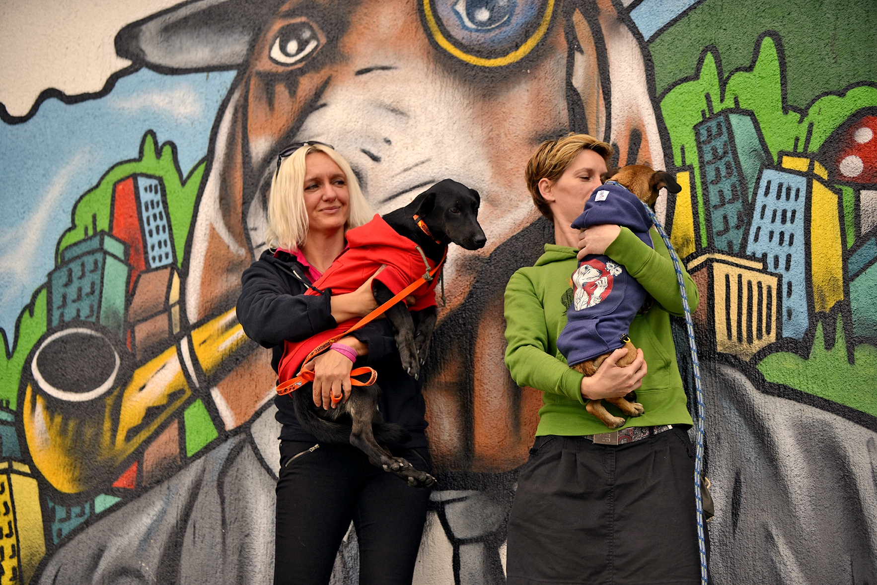 DasPas i street art umjetnici pomažu Azil Dumovec(psić,dogs) DasPas i street art umjetnici pomažu Azil Dumovec(psić,dogs)