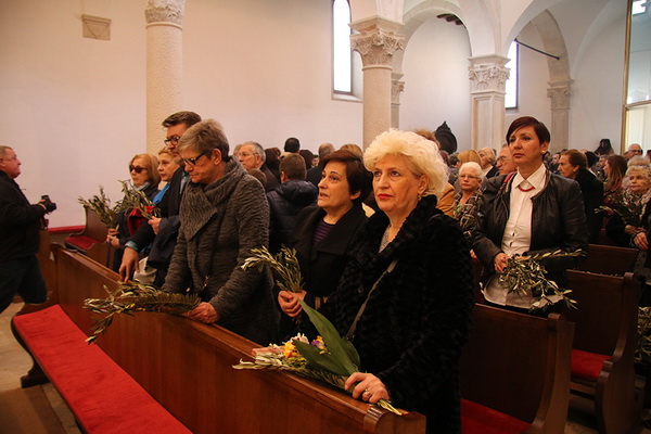 Cvjetnica 20. ožujka 2016: Nakon blagoslova maslinovih grančica, nadbisku Želimir Puljić predvodio je procesiju do katedrale sv. Stošije gdje je služio misno slavlje na kojem se pjevala Muka našeg Gospodina Cvjetnica 20. ožujka 2016: Nakon blagoslova maslinovih grančica, nadbisku Želimir Puljić predvodio je procesiju do katedrale sv. Stošije gdje je služio misno slavlje na kojem se pjevala Muka našeg Gospodina