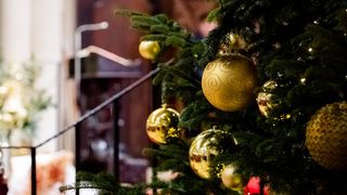 Polnoćka u katedrali svete Stošije