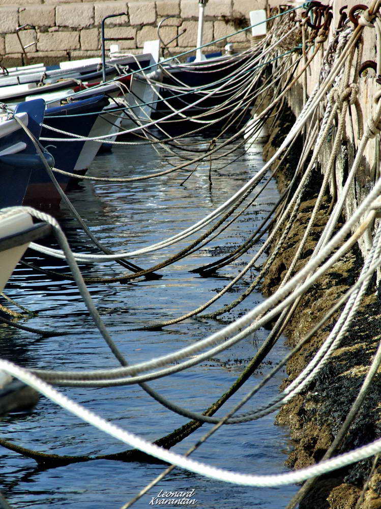 Đir po Vinjercu, Foto: Leonard Kvarantan