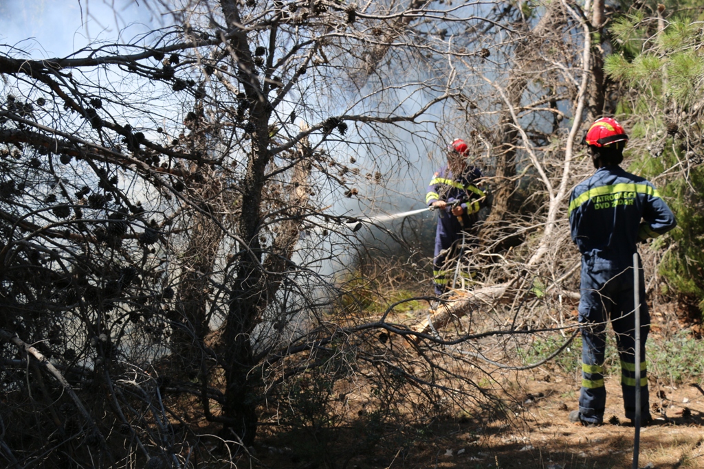 Vir: Požar u Lozicama u potpunosti ugašen Vir: Požar u Lozicama u potpunosti ugašen