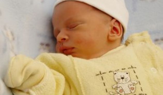 Beba/Foto: lovetoknow.com