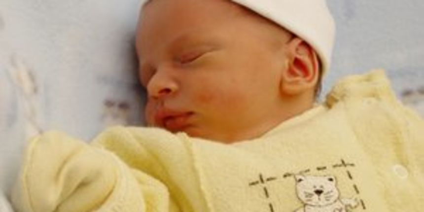 Beba/Foto: lovetoknow.com