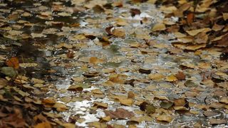 Jesenske boje i ljepote Nacionalnog parka Slapovi Krke oduševljavaju i dalje mnogobrojne turiste iz cijeloga svijeta. Photo: Hrvoje Jelavic/PIXSELL Jesenske boje i ljepote Nacionalnog parka Slapovi Krke oduševljavaju i dalje mnogobrojne turiste iz cijeloga svijeta. Photo: Hrvoje Jelavic/PIXSELL