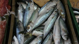 Image 1207661 (auto)