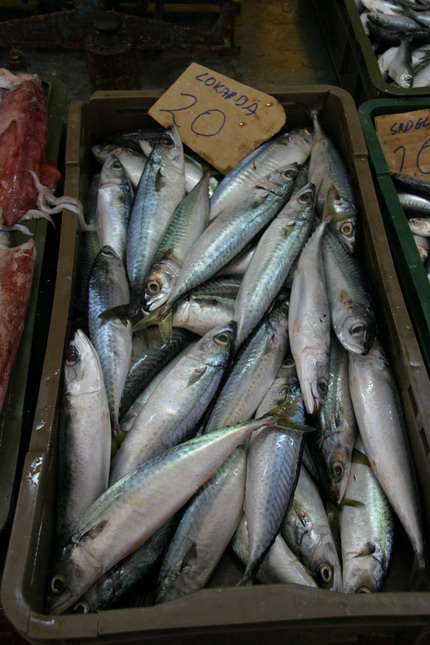 Image 1207661 (auto)