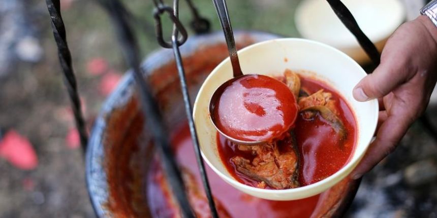 Fiš paprikaš, Fišijada Fiš paprikaš, Fišijada