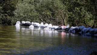Izgradnja mini hidroelektrane na rijeci Uni Izgradnja mini hidroelektrane na rijeci Uni