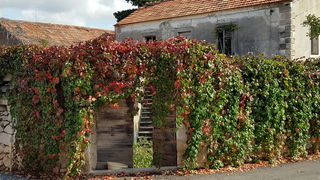Boje zadarske jeseni. Foto: Mladen Malik