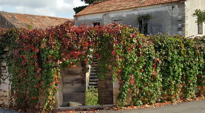 Boje zadarske jeseni. Foto: Mladen Malik