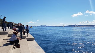 Zadarska Koka 2016. 22. listopada 2016. Foto: Mladen Malik Zadarska Koka 2016. 22. listopada 2016. Foto: Mladen Malik