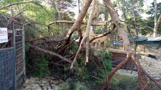 Nevera učinila veliku štetu i zadarskom azilu Nevera učinila veliku štetu i zadarskom azilu