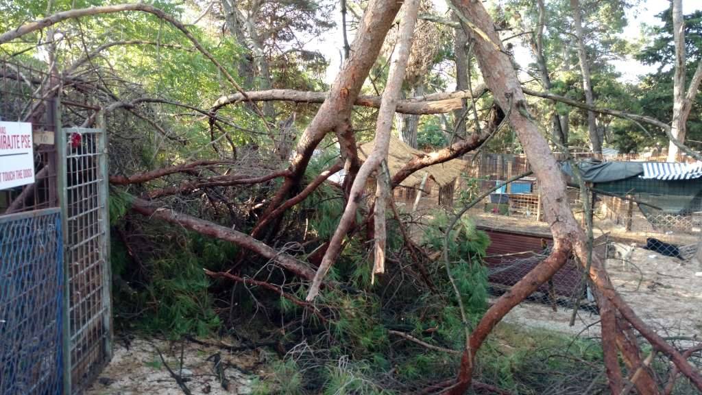 Nevera učinila veliku štetu i zadarskom azilu Nevera učinila veliku štetu i zadarskom azilu