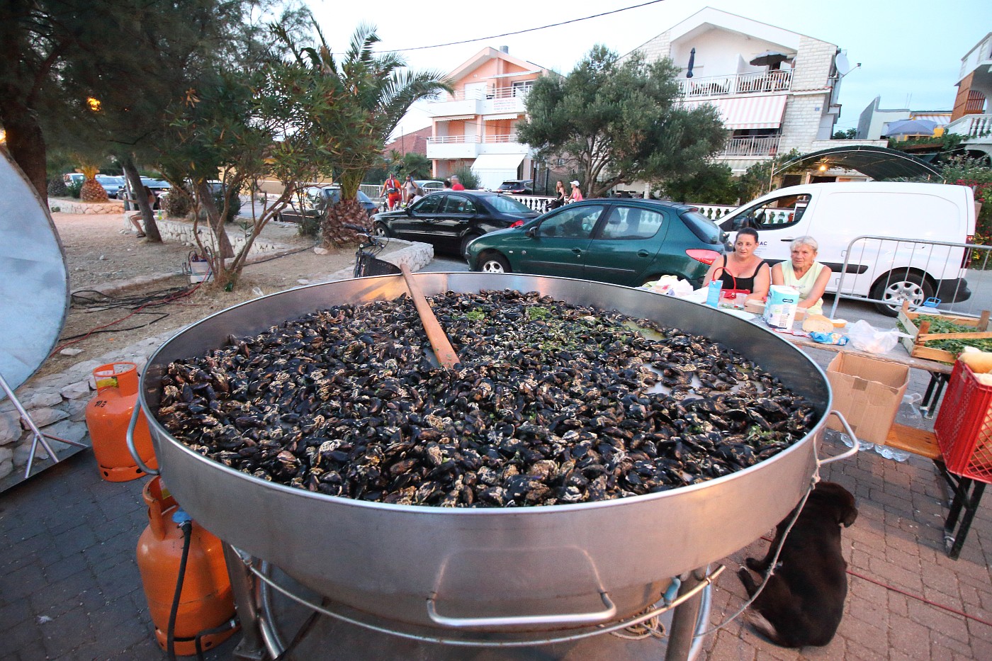 Gastro manifestacija “Bibinjski gušti” – druga večer Gastro manifestacija “Bibinjski gušti” – druga večer